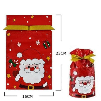5PC Christmas Gift Goody Bags Assorted Designs 30125 (12 units)