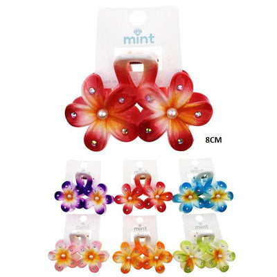Fashion Hair Jaw Clip 13709 (12 units)