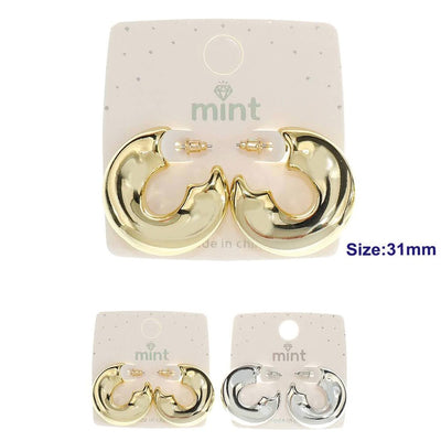 Fashion Hoop Earrings 46998 (12 units)